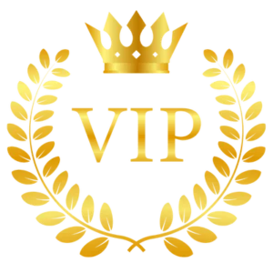 VIP private jet photo tours