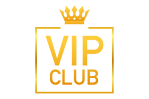 vip club Use other ? VIP private jet photo tours