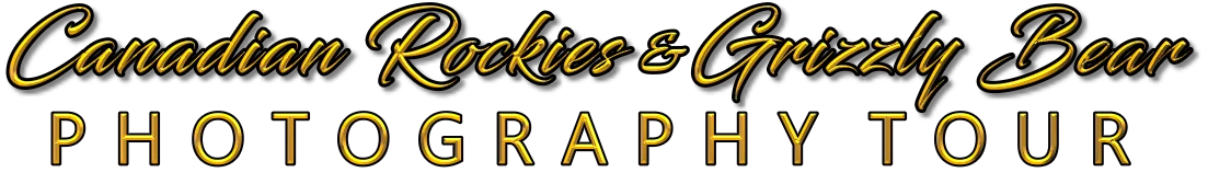 CANDIAN ROCKIES TYPE TWO grizzly bears LOGO