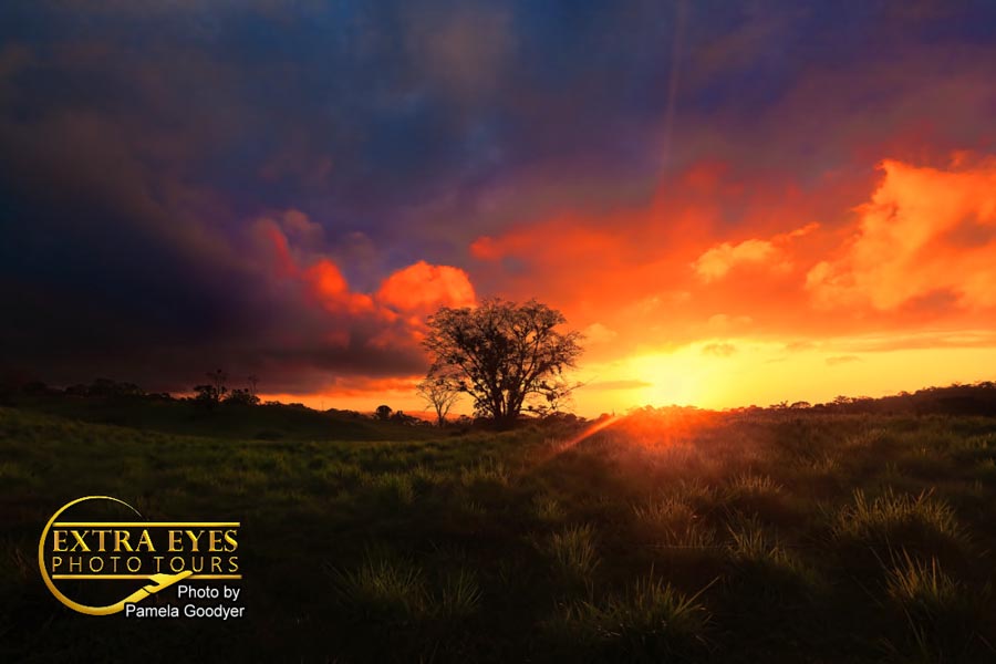 Private Jet Photography Tour Costa Rica