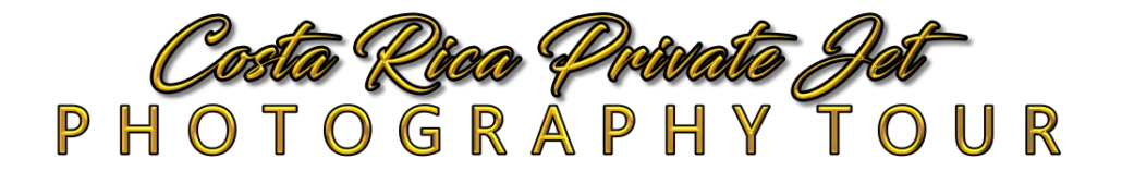 costa rica private jet tour gold LOGO costa rica private jet tour gold LOGO