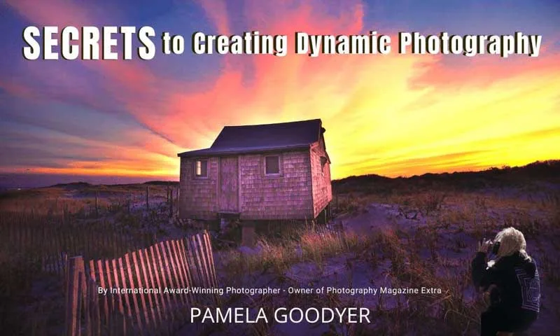 Pamela Goodyear secrets to creating dynamic photography book.